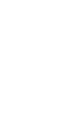 Logo Schnitzler